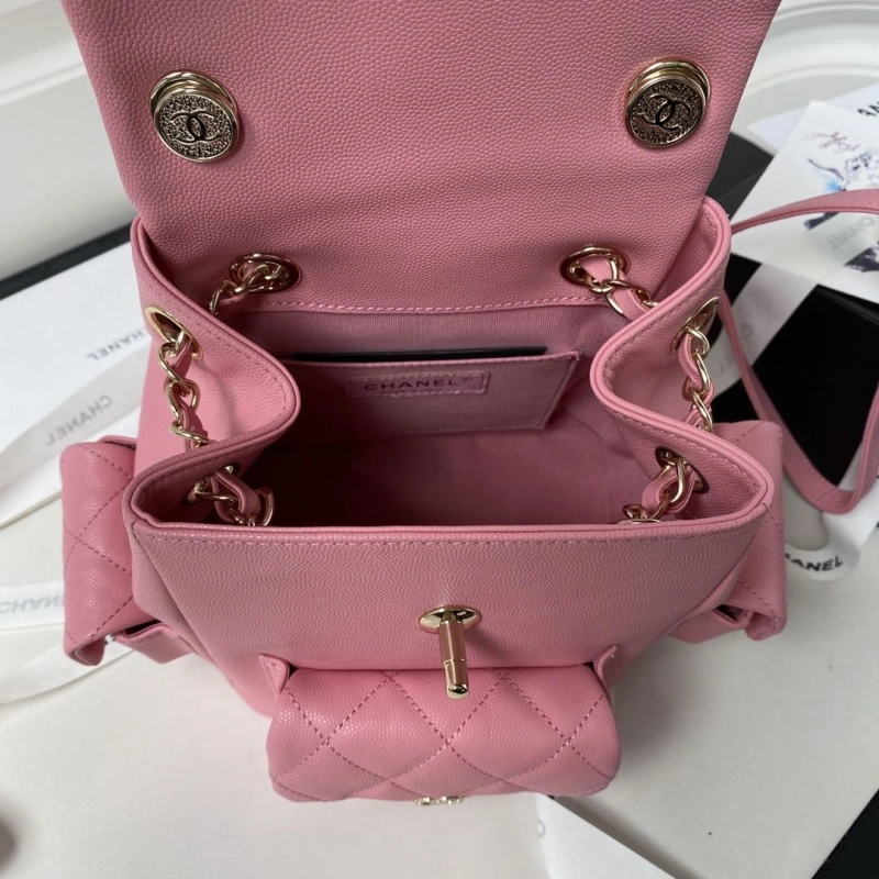 Ch**el backpacks 4017b-0065