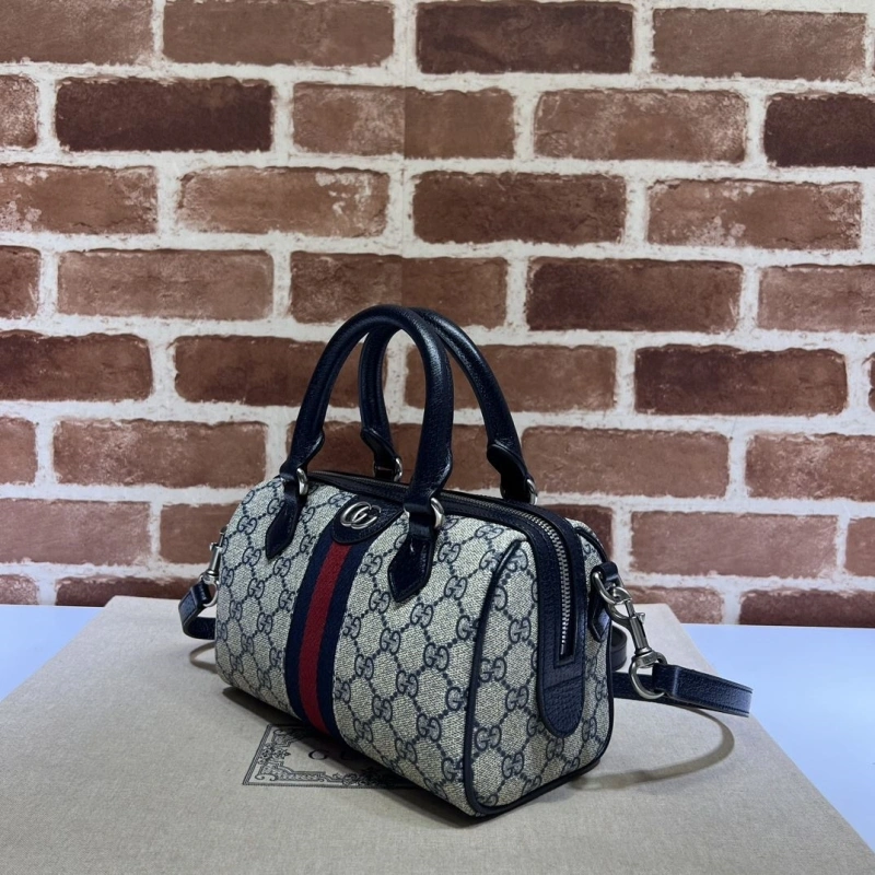 Gvc*1 speedy bags 4036b-0734