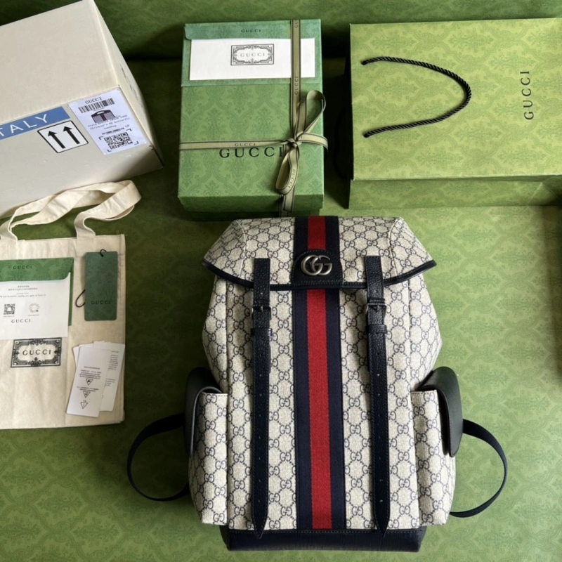 Gvc*1 backpacks 4094-0411