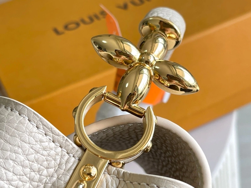 LV Capucines Bags 4171F-0017