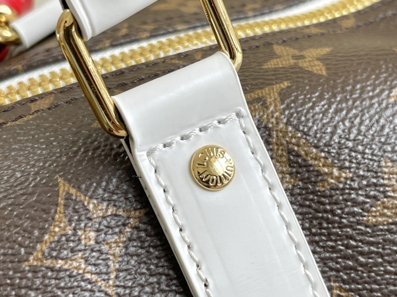 LV Travel Bags 4233H-1034