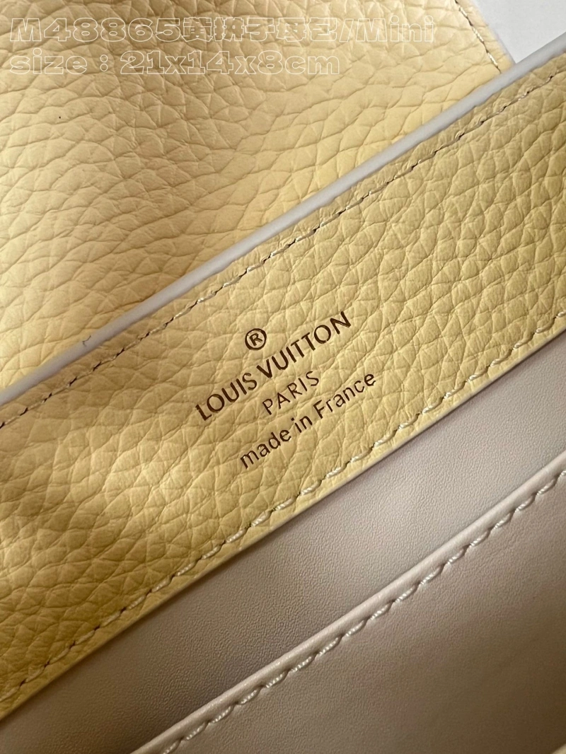 LV Capucines Bags 4365I-0643